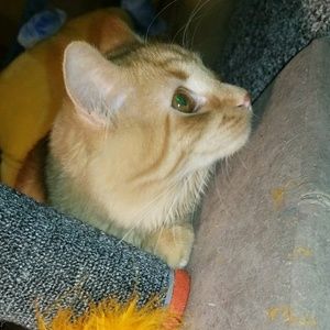 Meet your Posher, Jamie